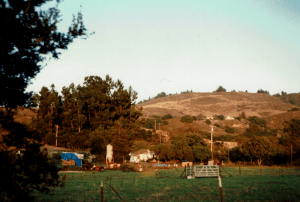 California_Gilroy__Fujicolor 400.png