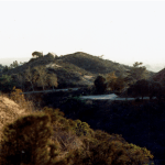 california_griffith-park__fulicolor-400.png