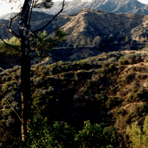 California_Hollywood sign at Griffith Park__Fujicolor 400.png