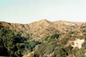California_San Gabriel Mountains__Fujicolor 400.png