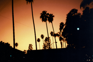 California_Sunset Boulevard 2__Fujicolor 400.png