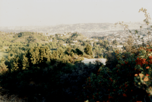 California_Griffith Park 3__Fujicolor 400.png