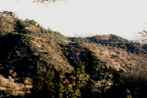 California_LA at Griffith Park Mountain__Fujicolor 400.png