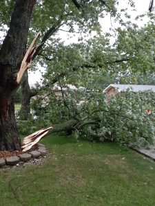Derecho EF1 Tornado in Oak Forest, Illinois Photo #3