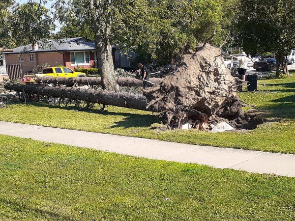 Derecho EF1 Tornado in Oak Forest, Illinois Photo #2
