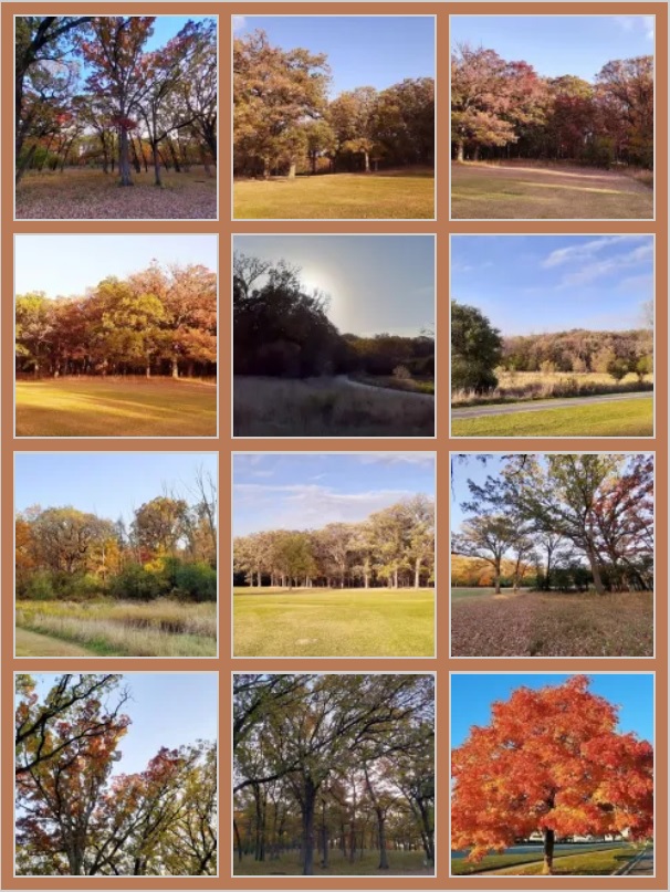 Fall Color 2021 Montage.jpg