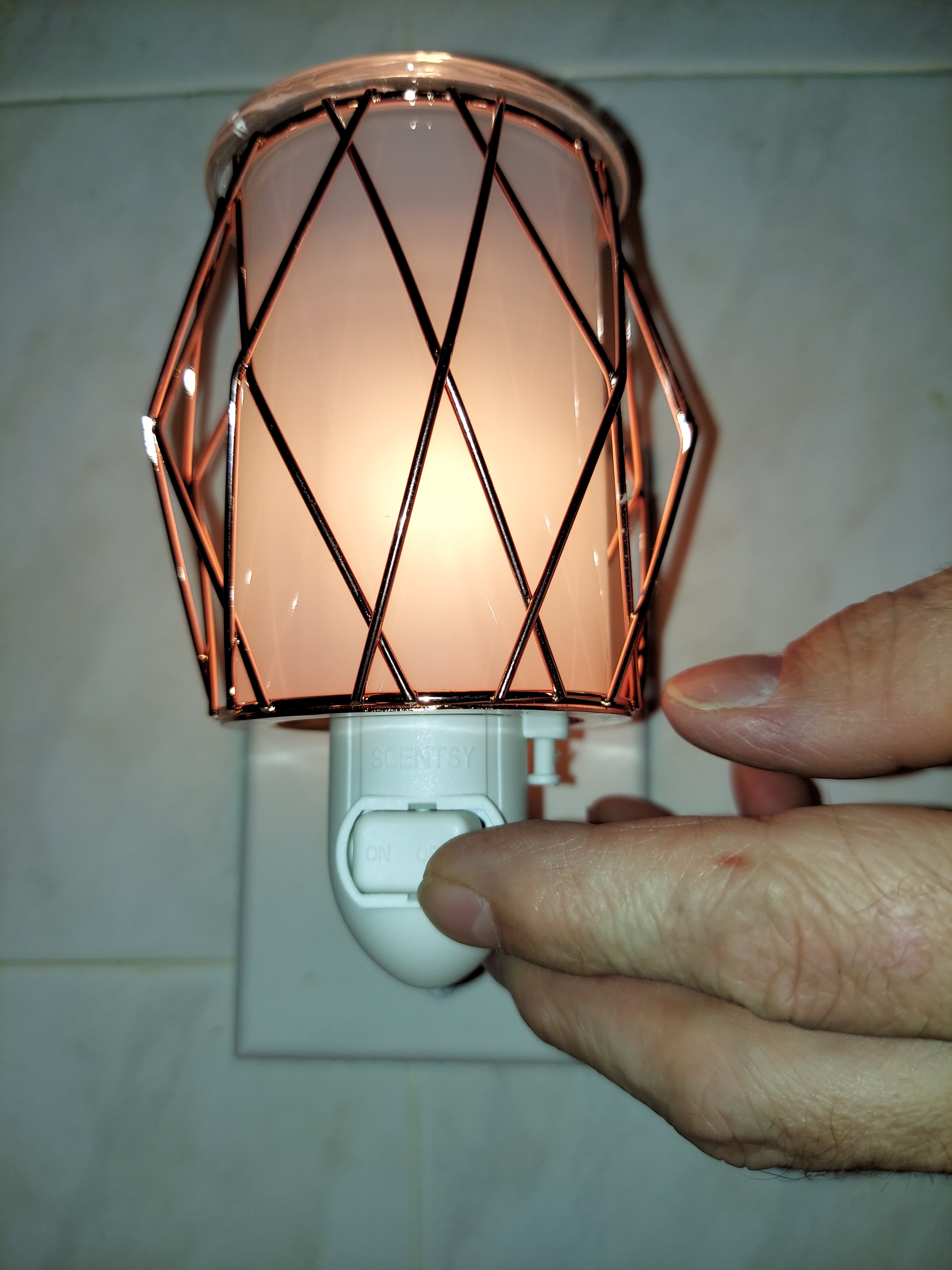 Wire You Blushing? Warmer at: Scentsy (Lit)