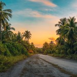 photography-of-dirt-road-surrounded-by-trees-1033729 palm_church_1649652709.jpeg Mohamed Sarim at Pexels