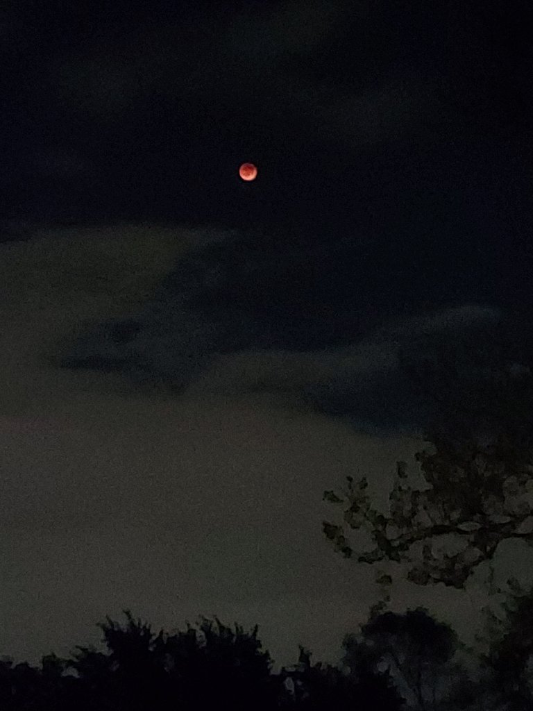 Photos of the Total Lunar Eclipse – Full Flower “Blood Moon” – 5-15-22