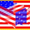 US Flag & US Image in Cube.jpg