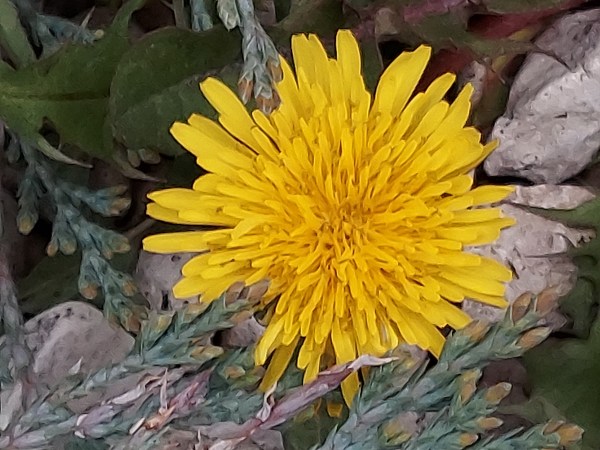 20220427_180404.jpg