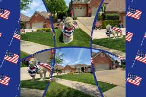 Featured Photo: Independence Day! – Style on Grand Traverse Drive, Frankfort