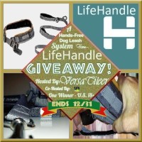 Hands-Free Dog Leash System from LifeHandle Giveaway_Holiday '22__625x625px.jpg