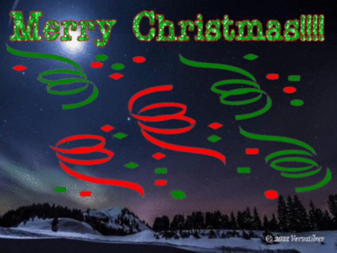 Merry Christmas__Santas Sleigh Raindeer Starlit Night '22.jpg
