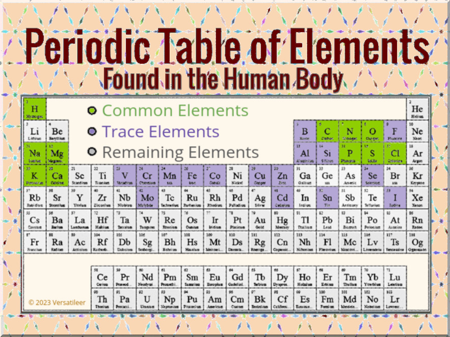 Periodic Table of Elements - Found in the Human Body '23.png