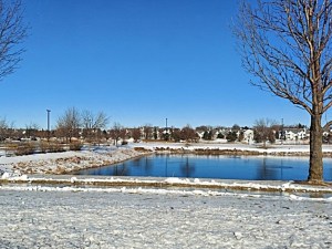 Winter Photo #2-'23__20220110_113429_1024x768px.jpg