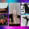 Brookfield Zoo__COLLAGE.png