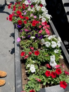 05-29__Chico-California__IMG_2461.jpeg
