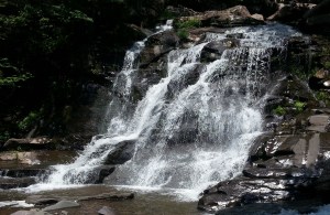 07-07__Forked-River-NJ__20140629_122644-FALL.jpg