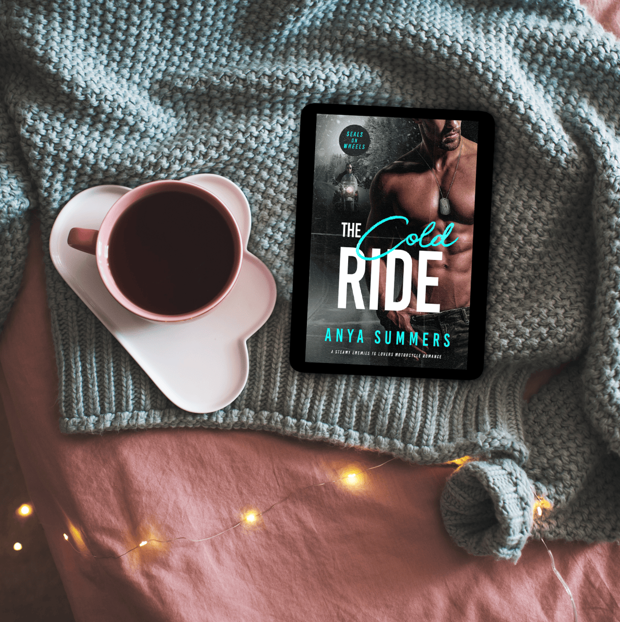 The Cold Ride by Anya Summers Cover Reveal – Release Date Coming ...