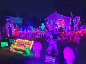 wp-16975807466721936165338249307484