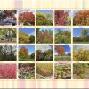Fall Color Montage_2023.jpg