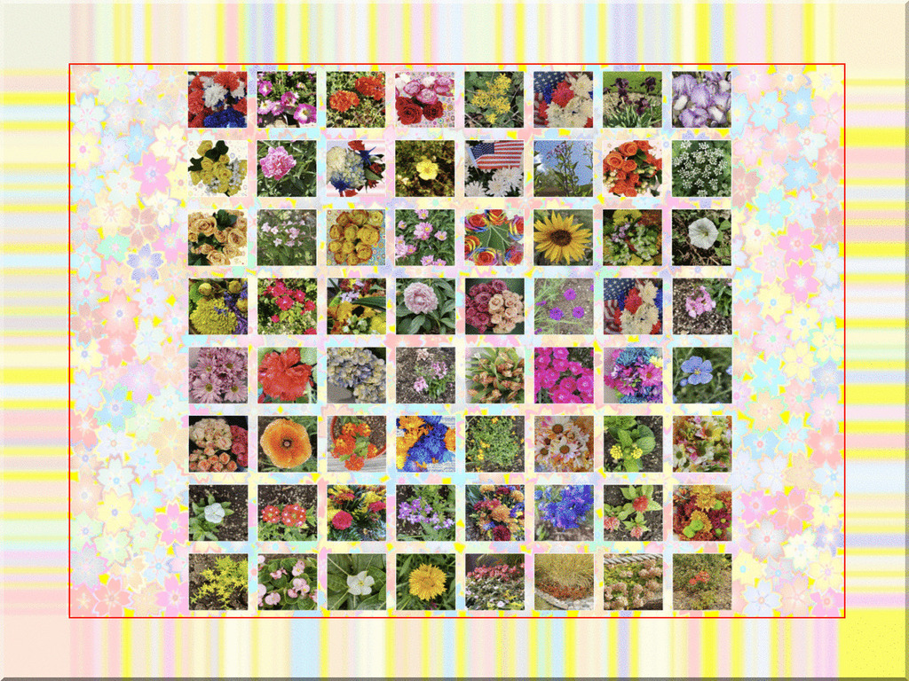 Flower of the Day Montage_2023.jpg