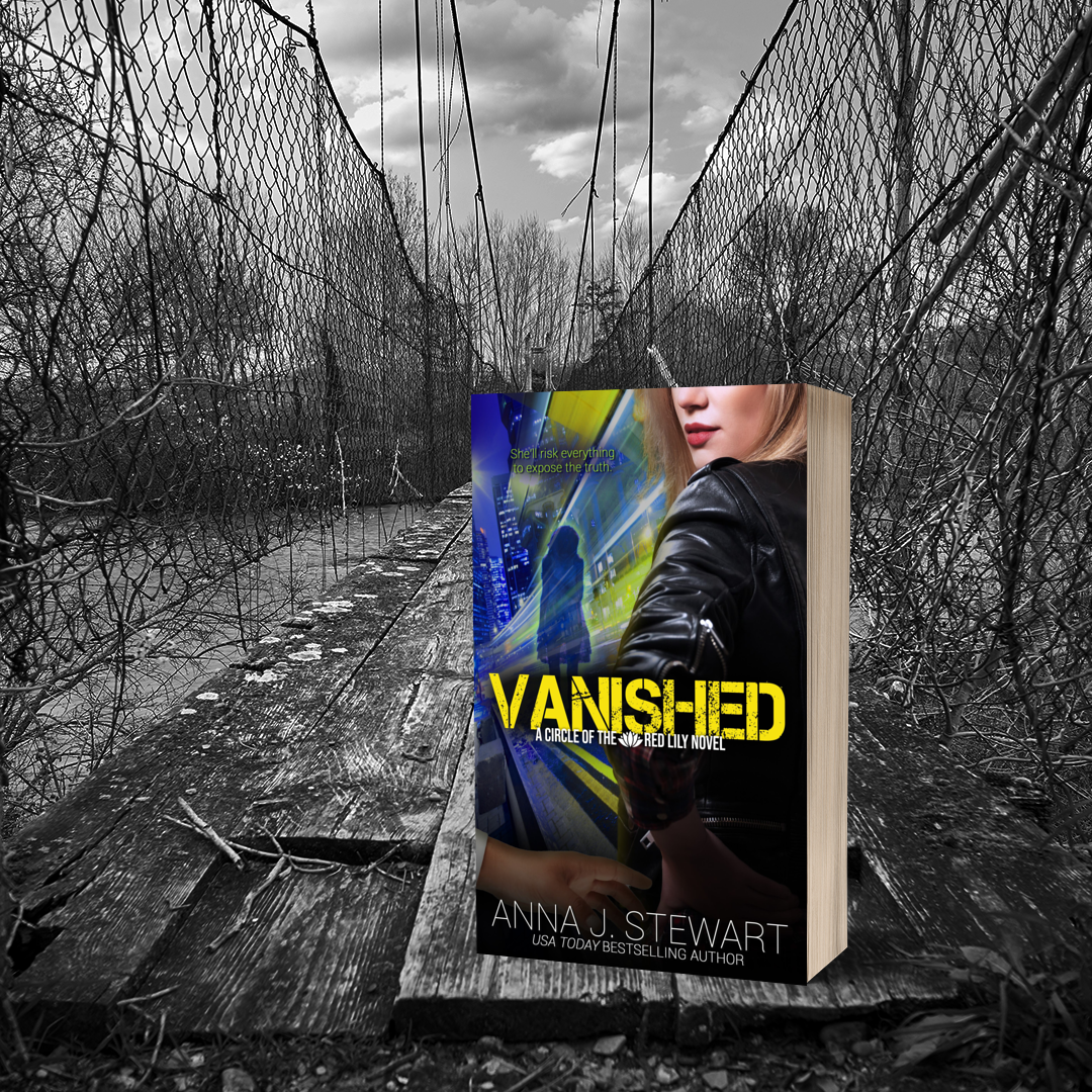 Vanished Image 3.png