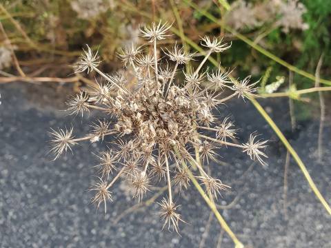 10-09__Bay City, Michigan__5.jpg