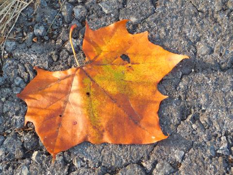 11-29__Sioux Falls, SD, USA__DSCN0150.jpg