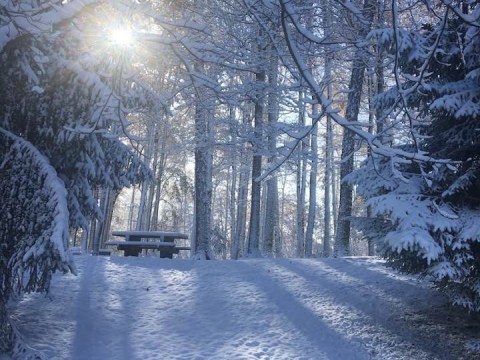 12-23-23__Mansfield, Ohio Richland County__IMG_1793.jpeg