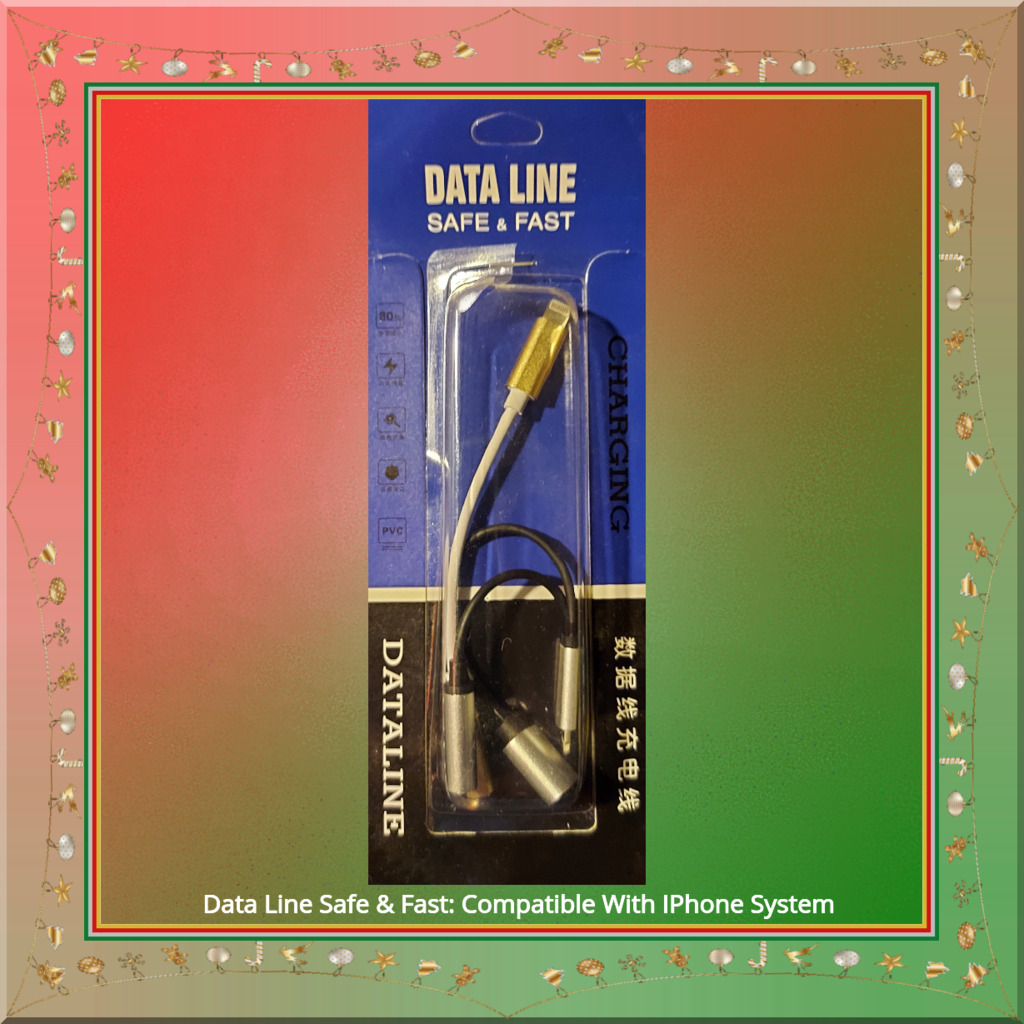 12 Days of Giveaways-December '23__#1_Data Line Safe & Fast- Compatible With IPhone System__$7.98 ARV.jpg