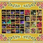 25 Days of Christmas '23_Decorated Houses & Christmas Flowers__Montage.jpg