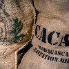 Free cocoa beans sack image.jpg