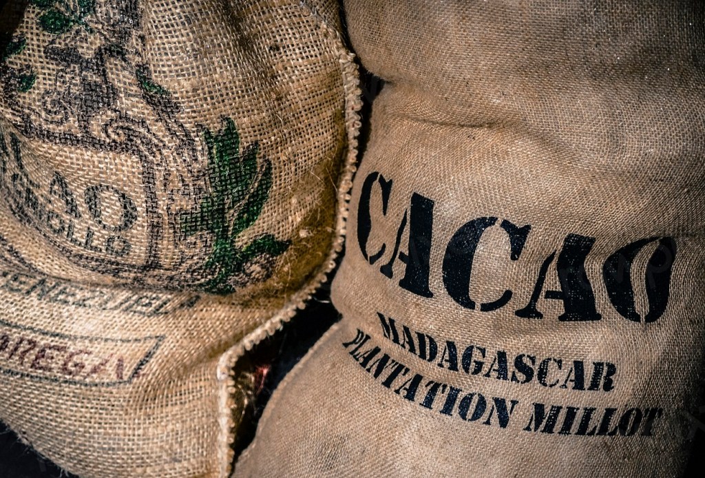 Free cocoa beans sack image.jpg