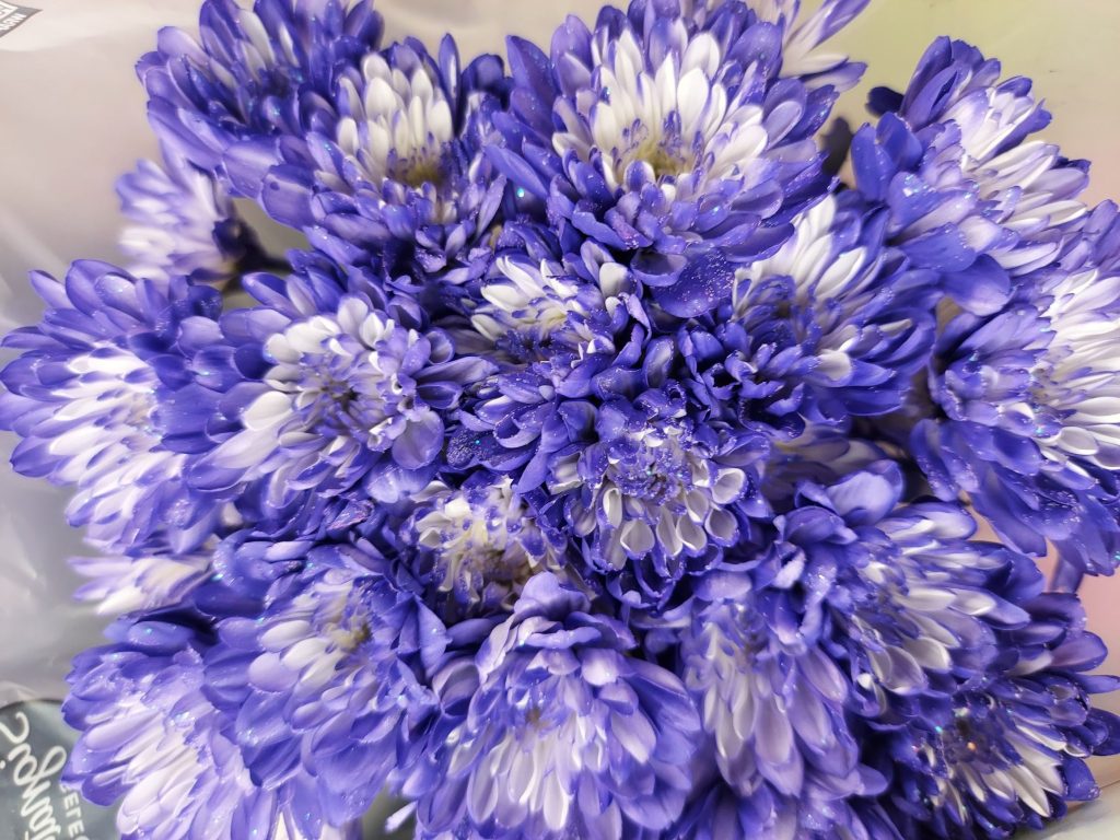 wp-17040189880637665487549271955988.jpg