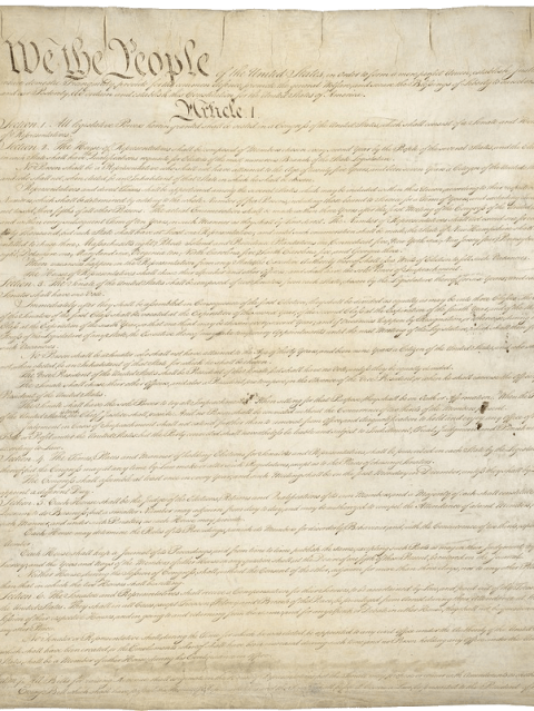 US Constitution_662px WIDE.png