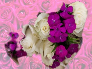 Valentine's Day Flower of the Day '23 #5.jpg