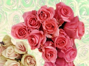 Valentine's Day Flower of the Day '23 #6.jpg