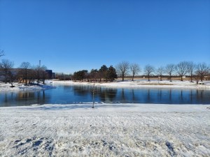 Winter Photo #3-'23__20220110_114521_1024x768px.jpg