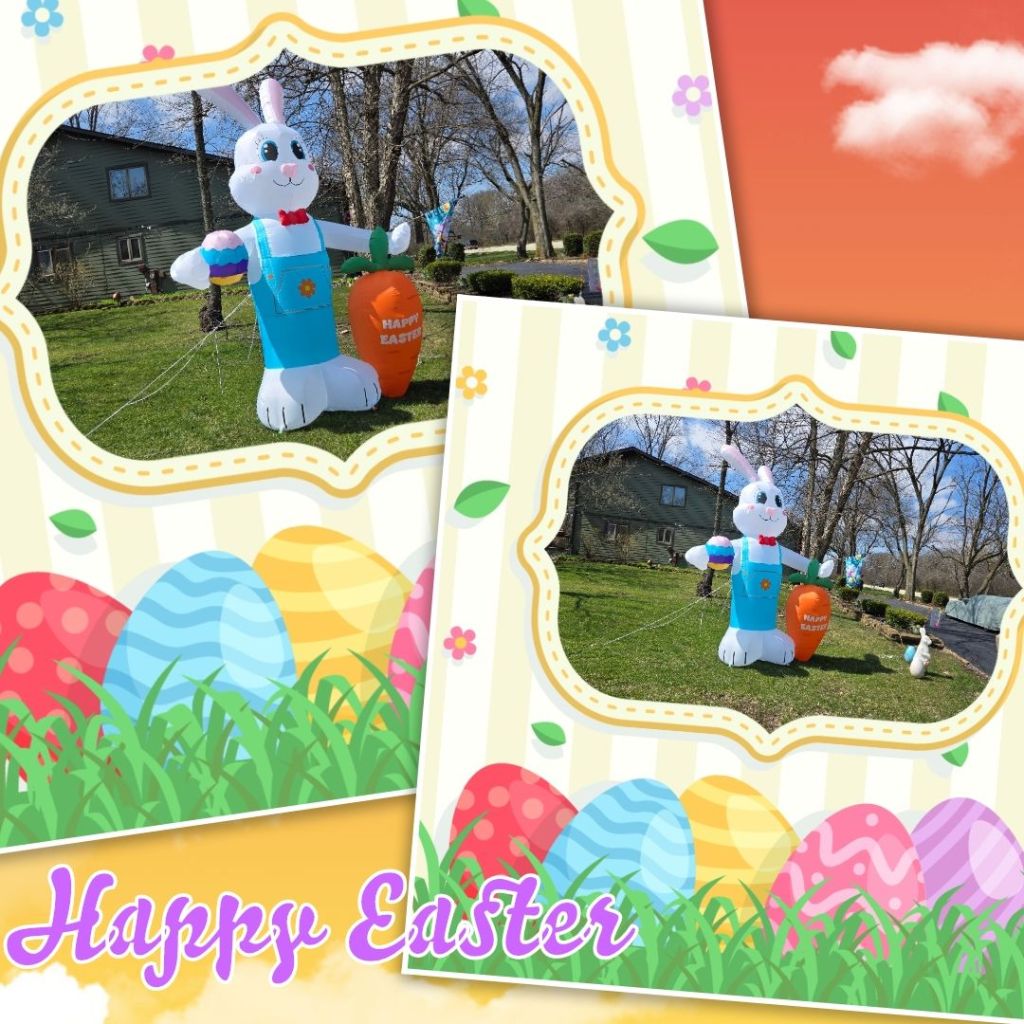 Featured Photo #3: Magic of Easter in 2024 – Bunnies on Midlothian Turnpike