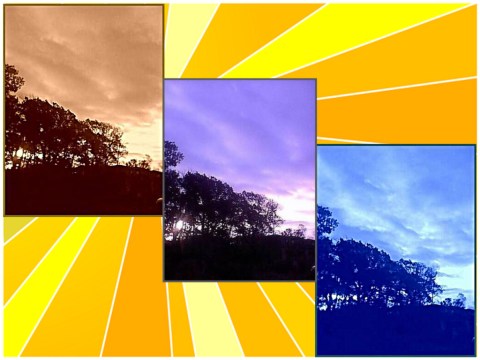 Trees near I-88_Farnsworth, Aurora__3 Images , Sunset BG.jpg