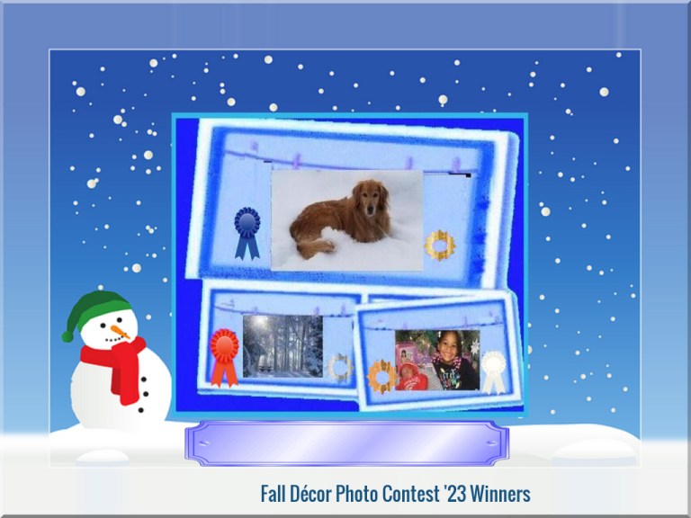 Announcement – Winter Décor Photo Contest ’24 Winners Announcement – Winter Décor Photo Contest ’24 Winners
