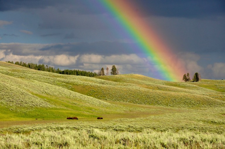 rainbow near green grass ranges.jpg