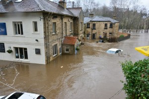 brown and white concrete house beside river during daytime.jpg