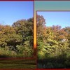Oak Creek Woods, Aurora, Illinois near Interstate 88, in Fall near Sunset __Sunset BG.jpg