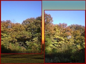 Oak Creek Woods, Aurora, Illinois near Interstate 88, in Fall near Sunset __Sunset BG.jpg