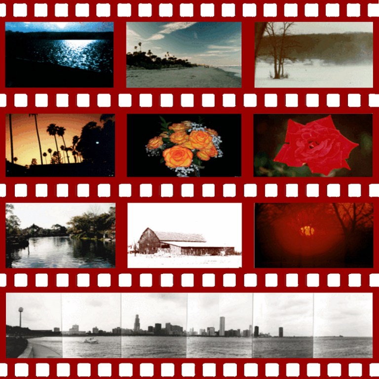 Winning Photos Nature Photography Day '24.jpg