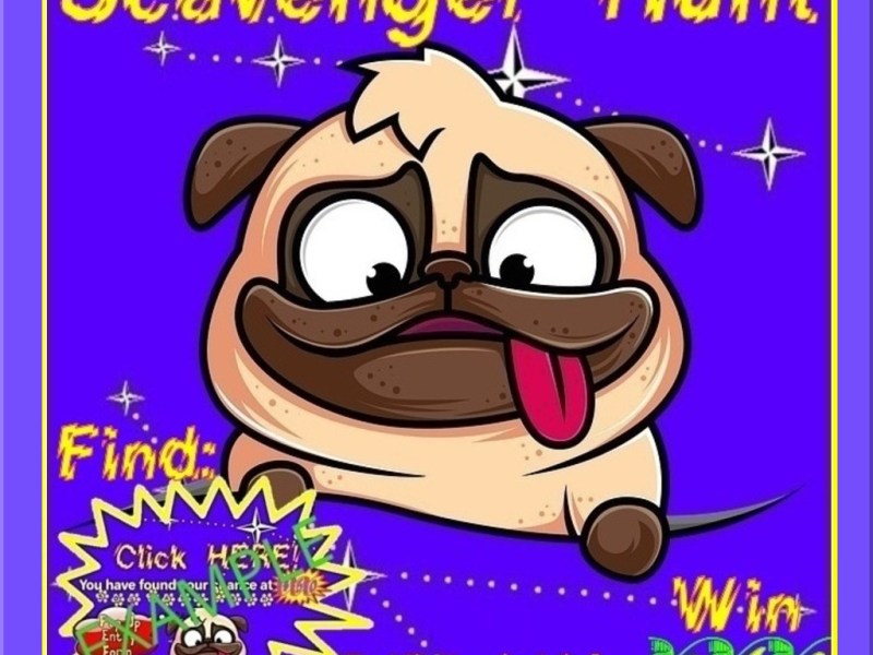 Dog Days '24 Scavenger Hunt $50 Cash Event__BUTTON.jpg