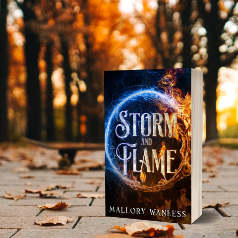 Storm and Flame__BookBrushImage713.png